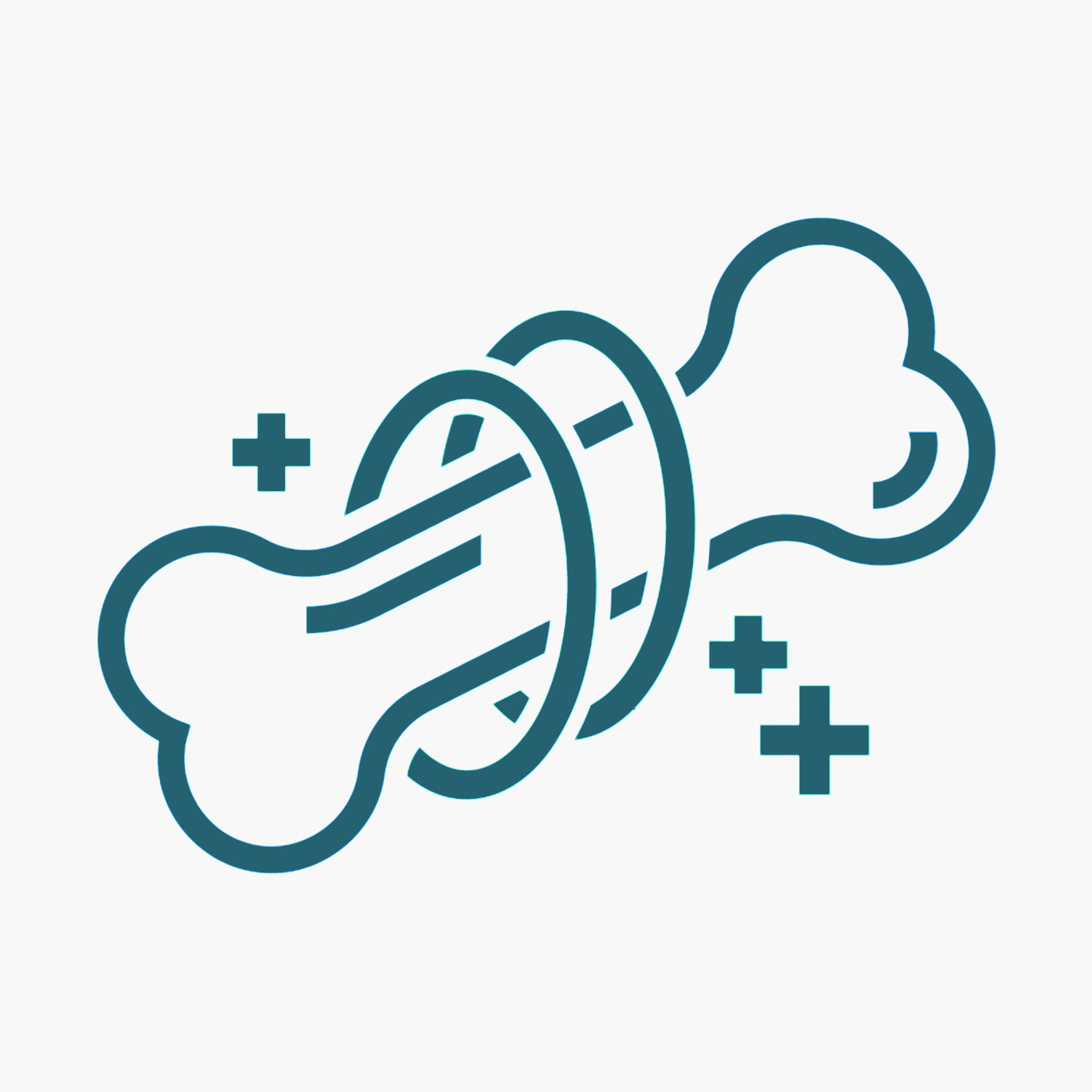 zdravé kosti kopie